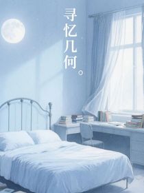 寻忆几何