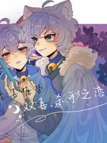 双喜：杀手之恋