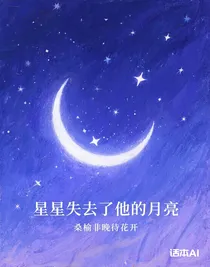 星星失去了他的月亮