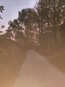 我的胆小鬼男友