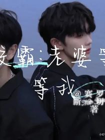 校霸：老婆等等我（双男）