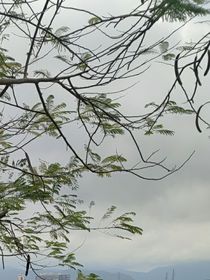 一些随便想到的，我都会写在这里