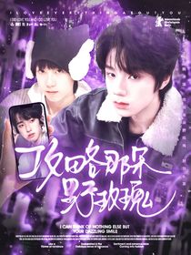 TF四代：攻略那朵野玫瑰