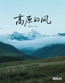 高原的风