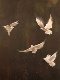 随笔——幻梦记