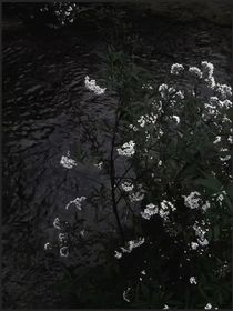 心跳同频，生死与共