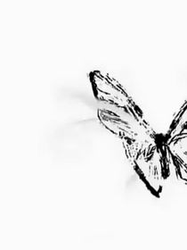 这个魔尊不对劲