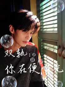 双轨：你在便有光