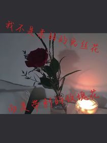 我不是柔弱兔丝花，而是带剌的玫瑰花