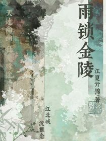 雨锁金陵