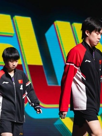 莎头：开了花的休斯顿