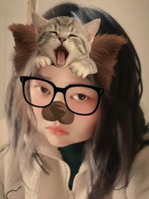 桃花受罪校园帅哥