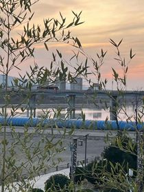 东雪：妈咪也要抢救一下