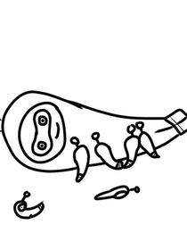 不知道起什么名字自己猜吧