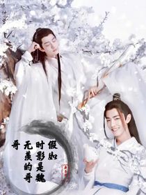 假如时影是魏无羡哥哥