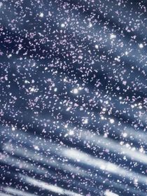 我在心底刻下你的名字