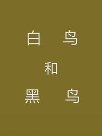 白鸟和黑鸟