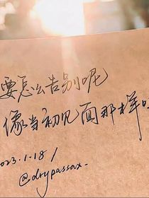 晚风遇你皆温柔