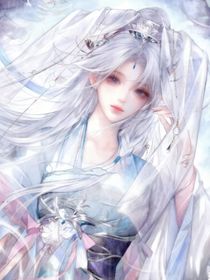 为君覆尽天下雪