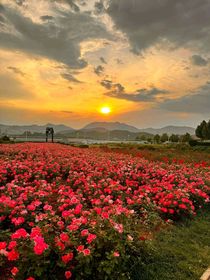 叶罗丽之另一个禁忌之地