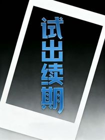 试出续期