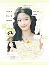 综影视：决心要做坏女人