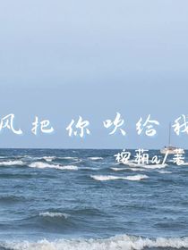风把你吹给我