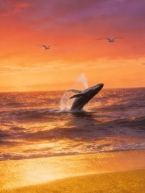 班级之恋：灯霞边界