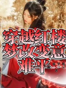 穿越到红楼梦改变意难平