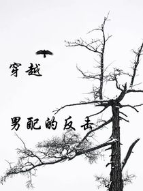 穿越之男配的反击