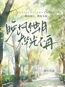 晚风蚀月，烨光不再（第一册）