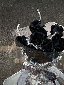 朱砂痣的攻略日程