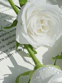 顶级替身上位指南