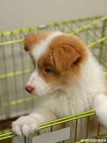 夏日篇——桂恒奇文