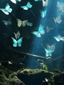 我死后，开始手刃仇人