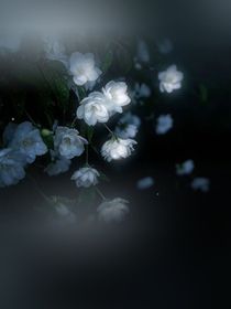 随笔笔录加载中