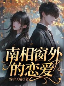 南相窗外的恋爱