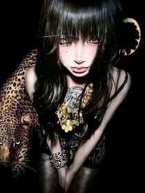 TF四代：降雨几率