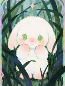 夏日汽水和蝉鸣的秘密