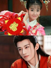 新还珠格格之王爷追妻记