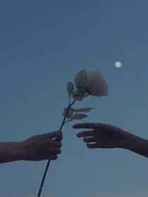 日落前的光（番茄同名）