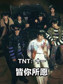 TNT：十一如你所愿
