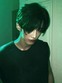 综影视：请宿主维持人设