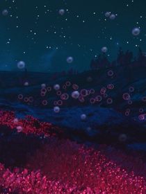 设定集（后续会写同人）