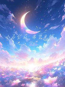 小马宝莉：希望光辉