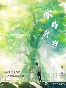 你离开的冬天