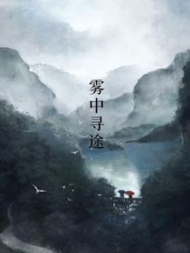 雾中寻途