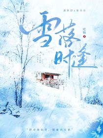 雪落时逢