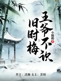 王爷不识旧时梅