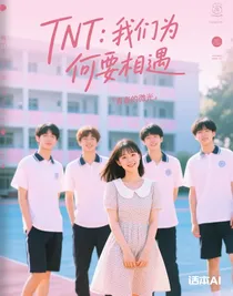 TNT：我们为何要相遇